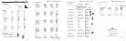 Medical Vocabulary and Phrases